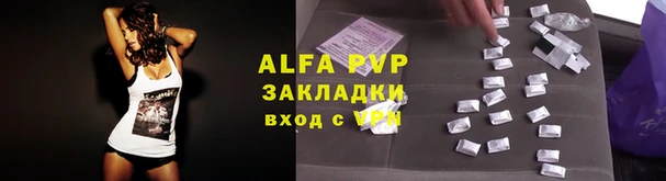 spice Аркадак