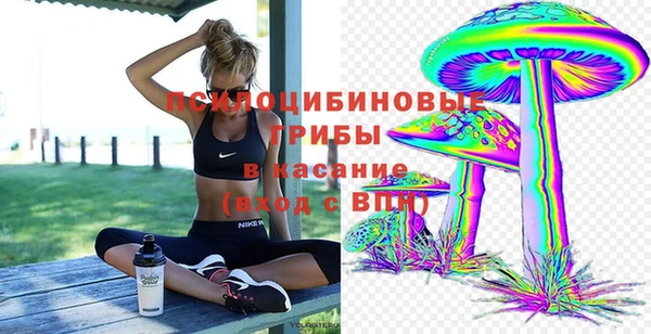 spice Аркадак