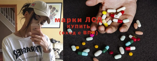 spice Аркадак